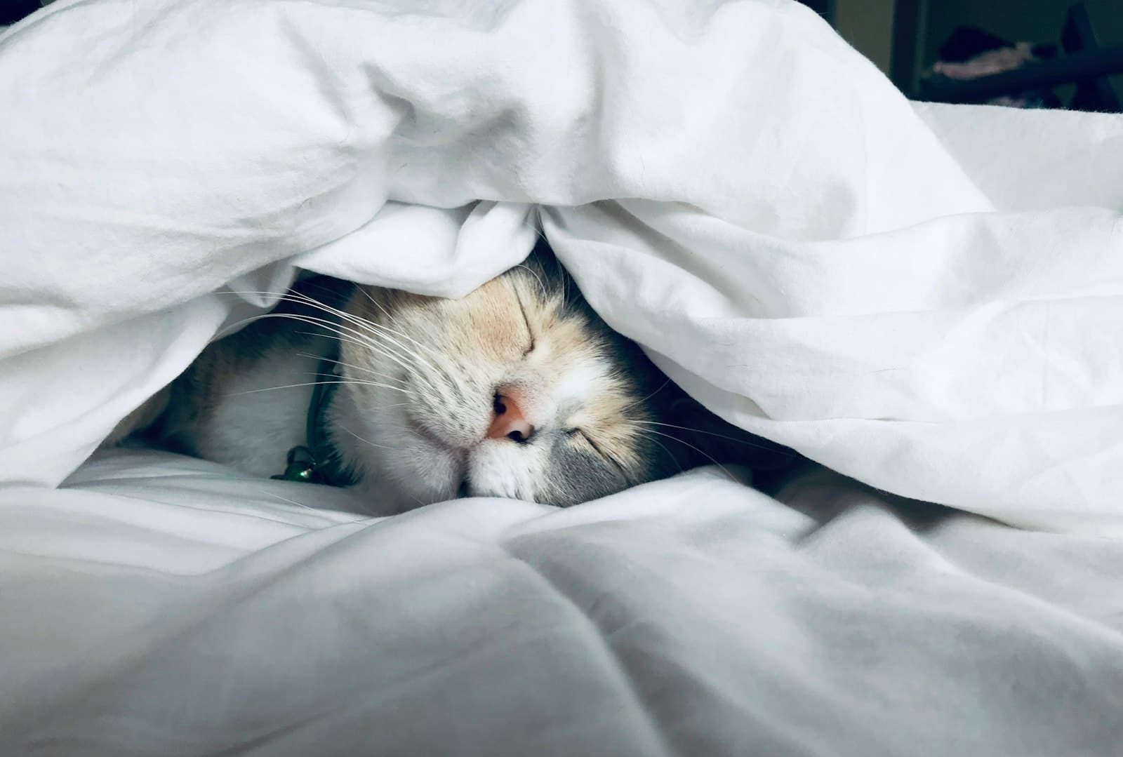 How Laziness Became My Favorite Art Form
